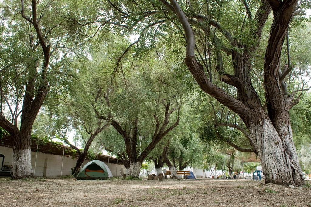 Camping Koula Parikia  Bilik gambar